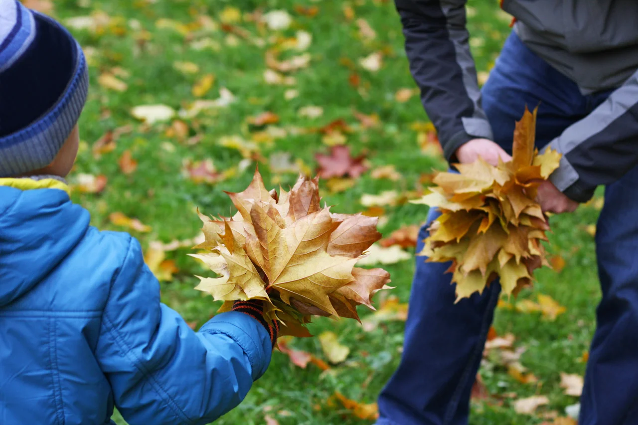 Kind und Erwachsener mit herbstlichen Blättern in den Händen